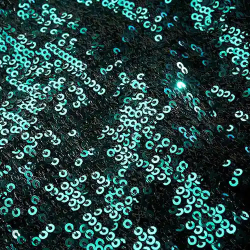 Sequin Fabric